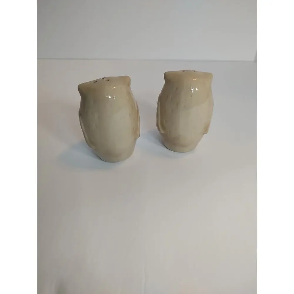 Pier 1 Owl Set Salt and Pepper Shaker
